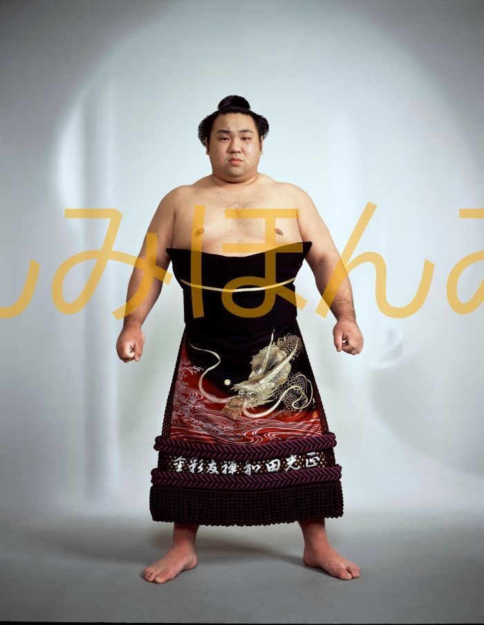 千代大海龍二関 優勝ミニ額 大相撲ミニ額 大相撲優勝額 平成15