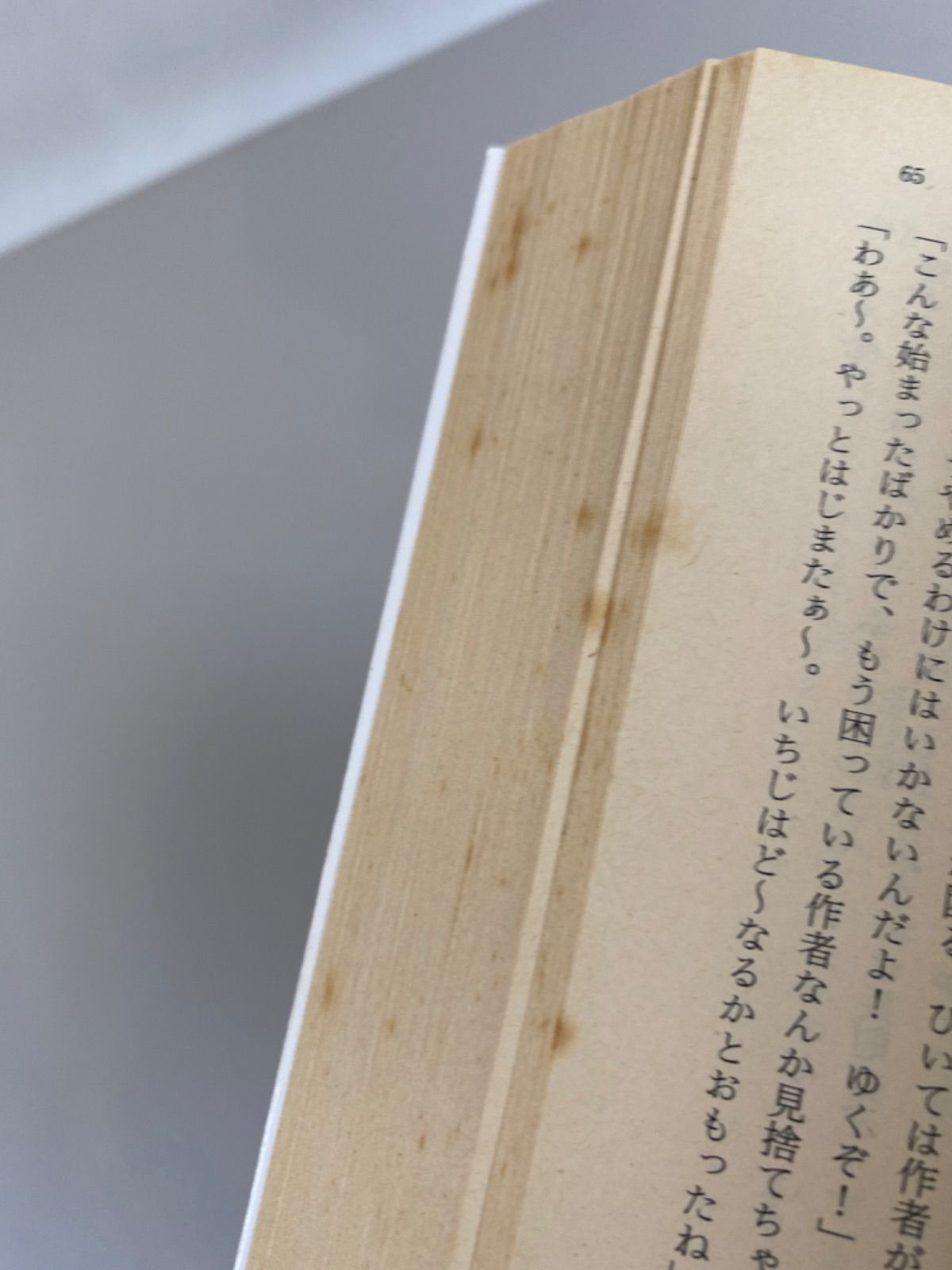 東京忍者 総集編 ぶらじま太郎 51LZ41jnL+L._SY200_QL15_.jpg
