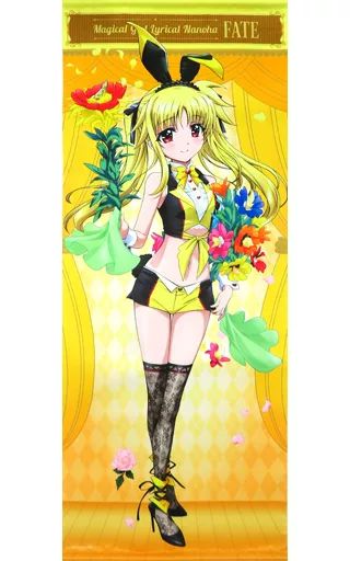 タペストリー　フェイト・テスタロッサ 描き下ろし等身大タペストリー マジカルバニーver. 「魔法少女リリカルなのはシリーズ×ドン・キホーテ」 中古】タペストリー フェイト・テスタロッサ 描き下ろし等身大