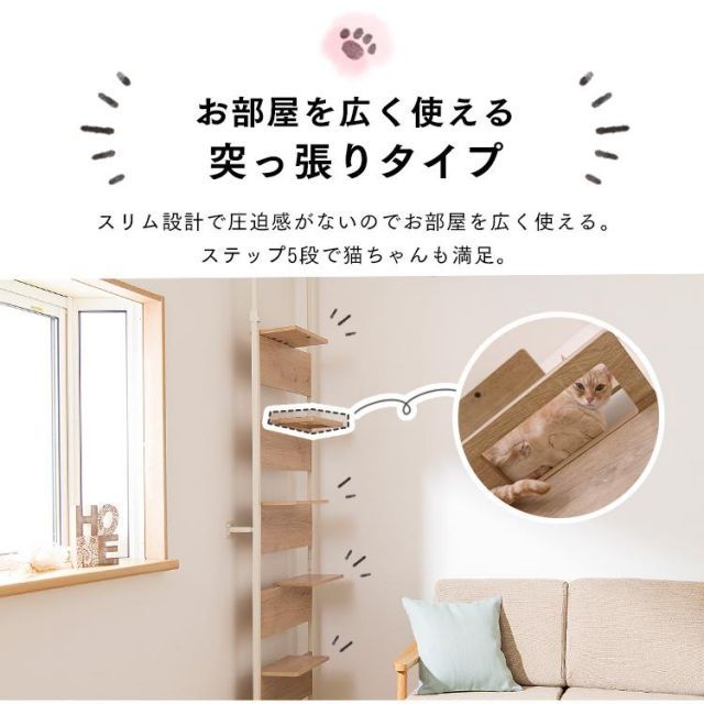 キャットウォーク
