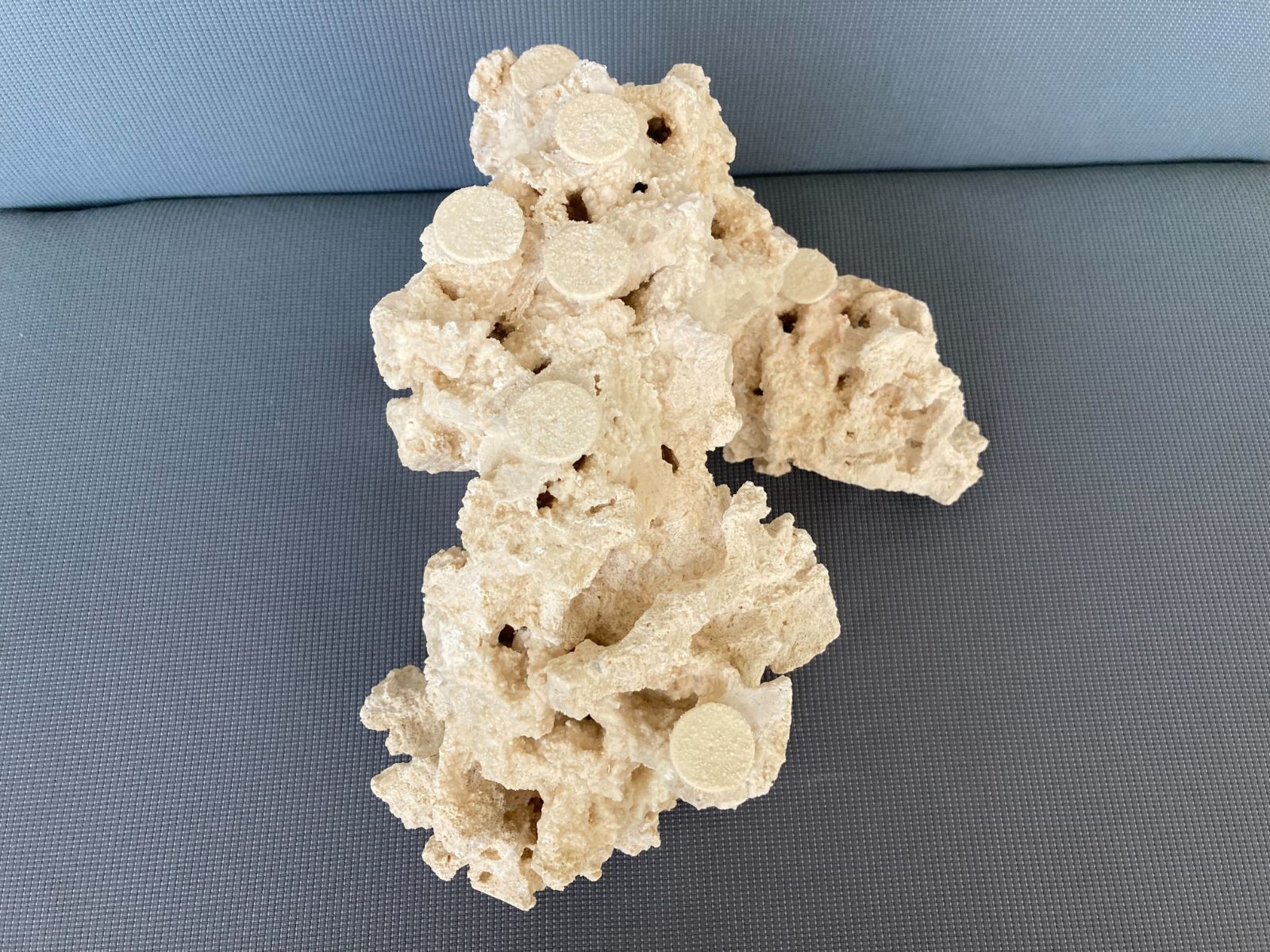 一点物 マルコロック カスタムフラグベース ５４１７８３ 海水水槽用 サンゴ水槽向け レイアウトストーン