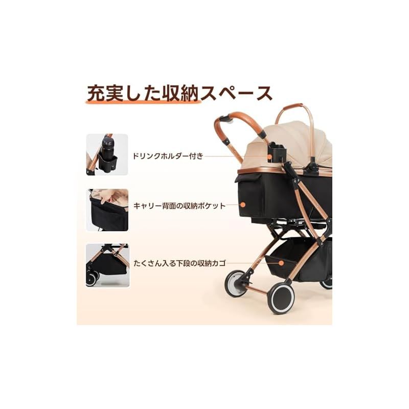 自立
