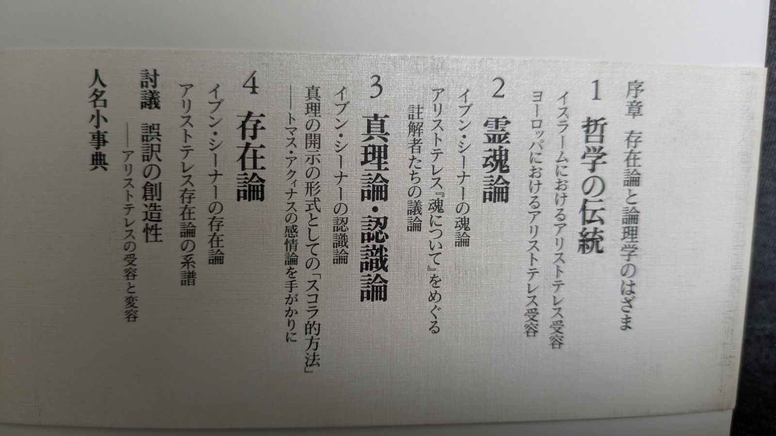 イスラーム哲学とキリスト教中世1 理論哲学 (竹下政孝・山内志朗編
