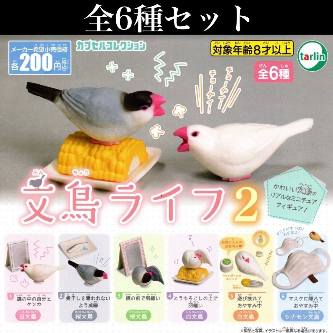 特別価格 個体を保てなくなった文鳥 白文鳥セット lepiceriedeshalles.coop