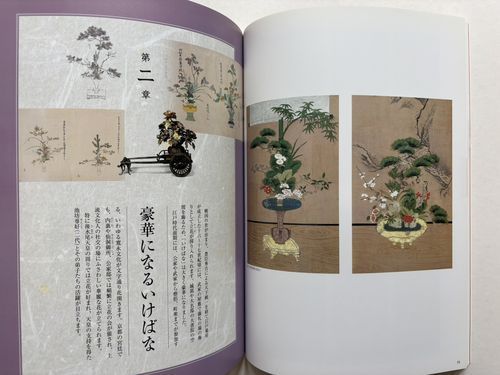 図録「IKEBANA いけばな - 歴史を彩る日本の美」京都文化博物館 本 図録「IKEBANA いけばな - 歴史を彩る日本の美」京都文化博物館