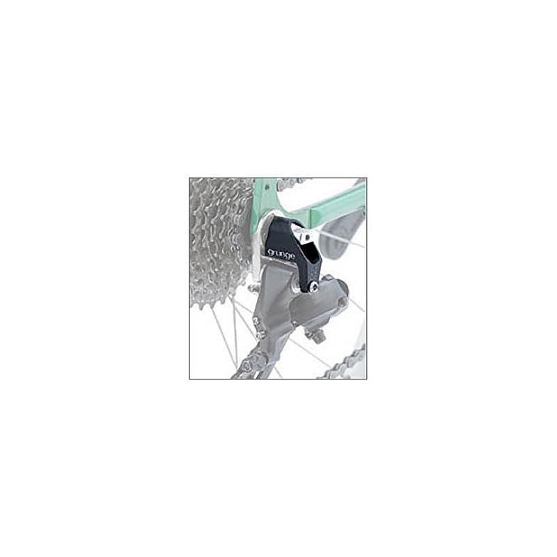 グランジ(grunge) R2 ディレイラーガード 1