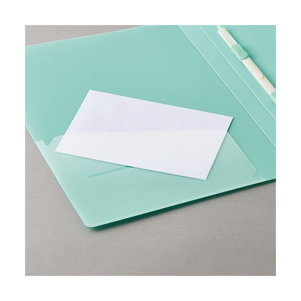 まとめ TANOSEEレターファイル 再生PP A4タテ 120枚収容 背幅18mm ミントグリーン 1セット 10冊 ×3セット SKLAD-KIRPICHA_RU