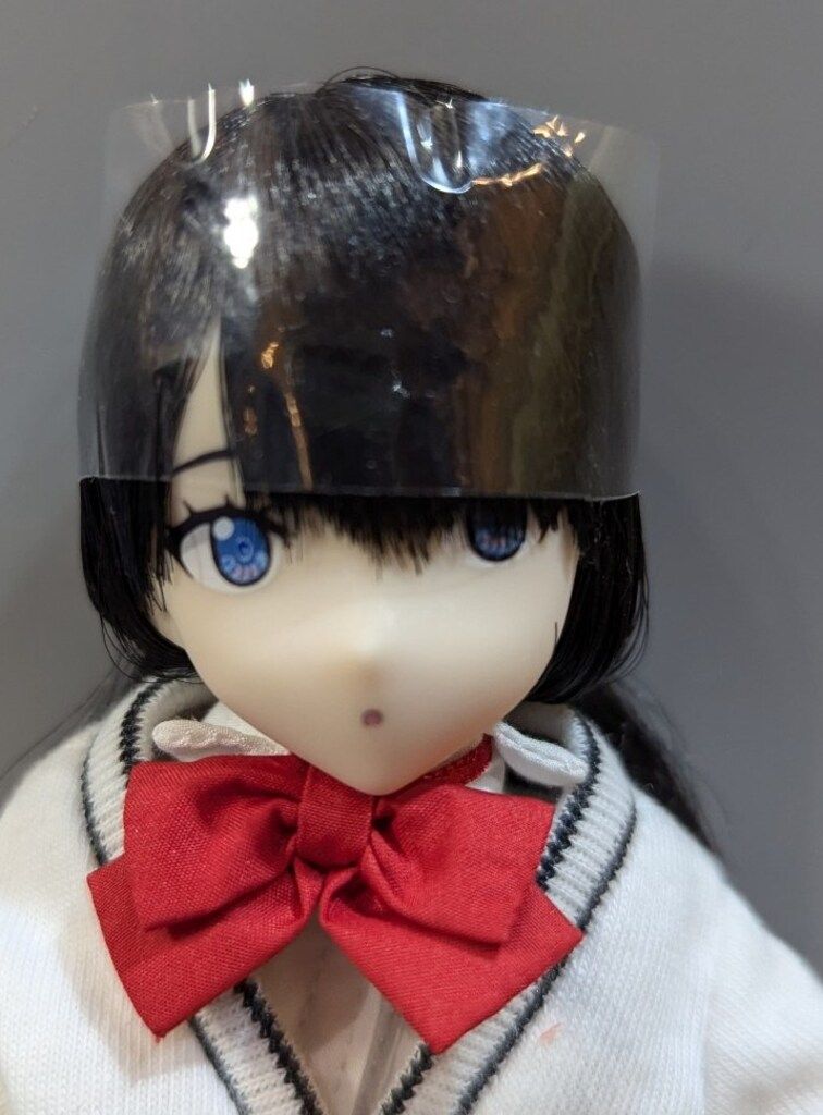 アゾン ピュアニーモキャラクターシリーズ SSSS.GRIDMAN 宝多六花 AZONE INTERNATIONAL::キャラクタードール::商品詳細