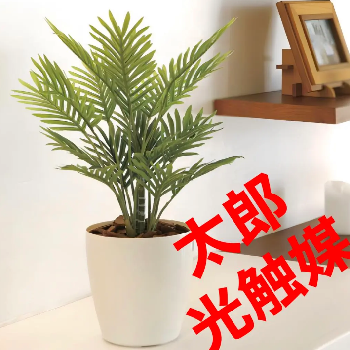 変革のパワーを授ける・願望成就 光触媒 人工観葉植物 ウォール