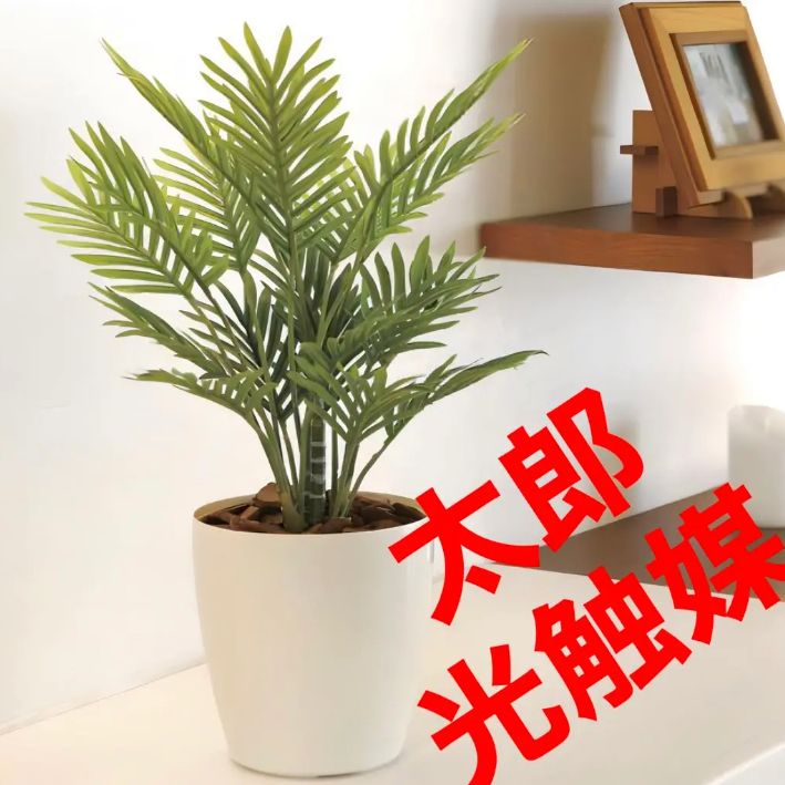 光触媒　人工観葉植物　ウォールグリーン　フェイクグリーン　マグノリアアレンジaj インテリア小物 光触媒 人工観葉植物 ウォールグリーン フェイク