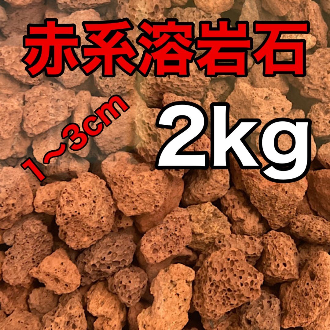 伊豆産 赤色溶岩石 レッドロック スコリア 10〜30mm 900g