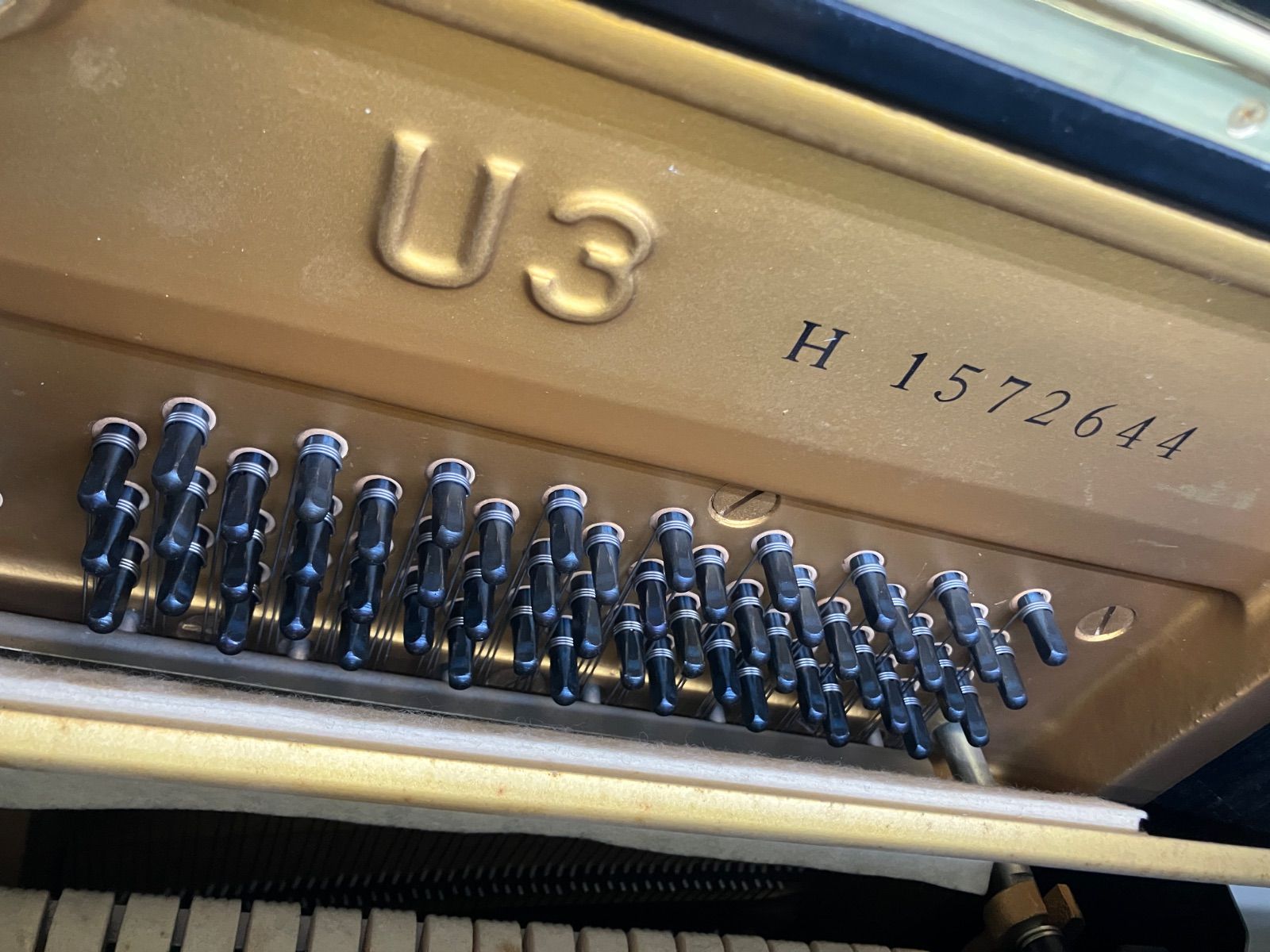 黒塗り 保証付き