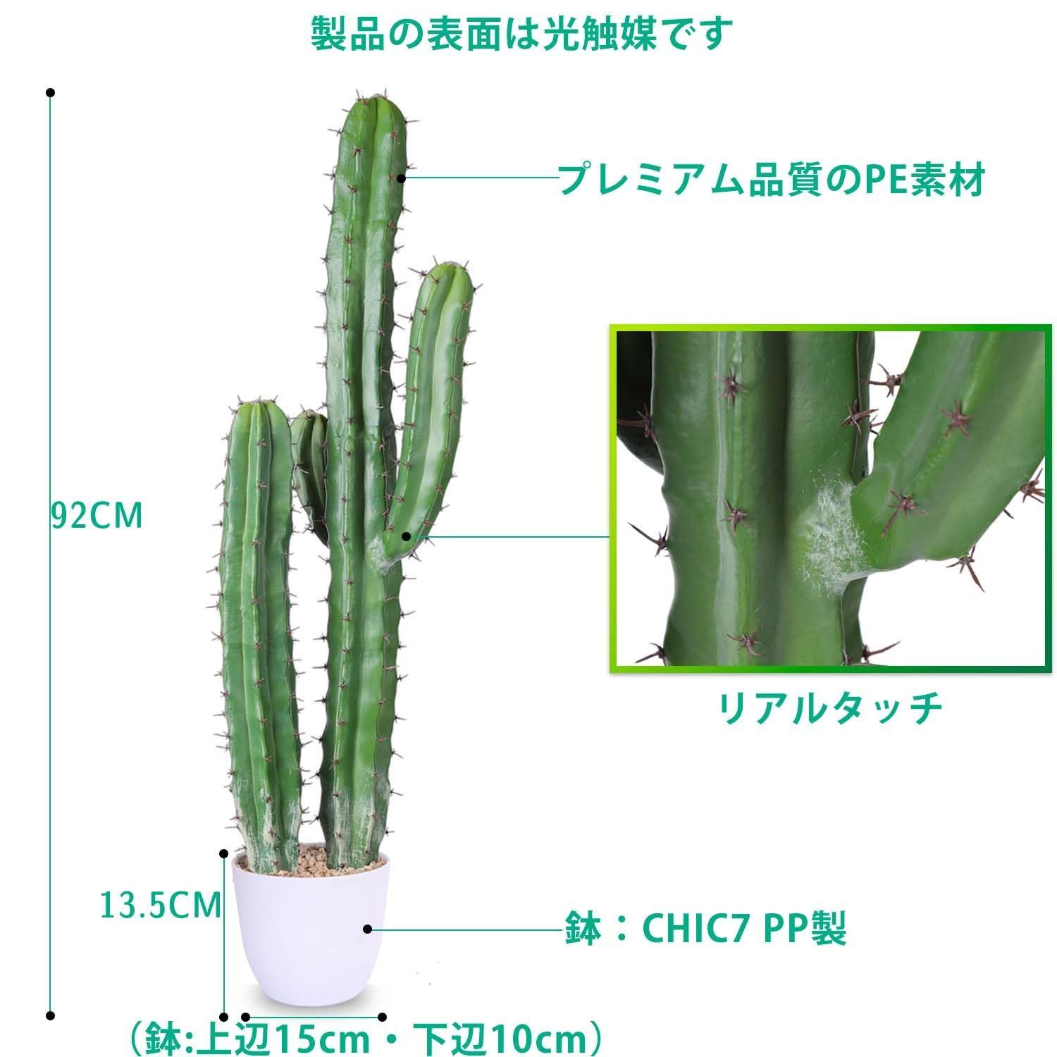 観葉樹
