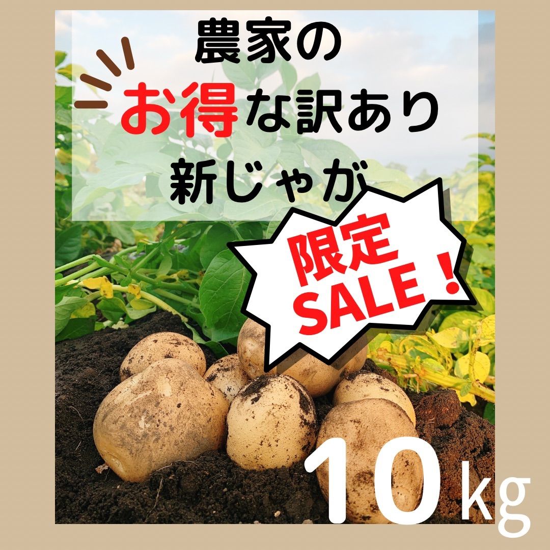 新入荷 新じゃがいも10キロ訳あり