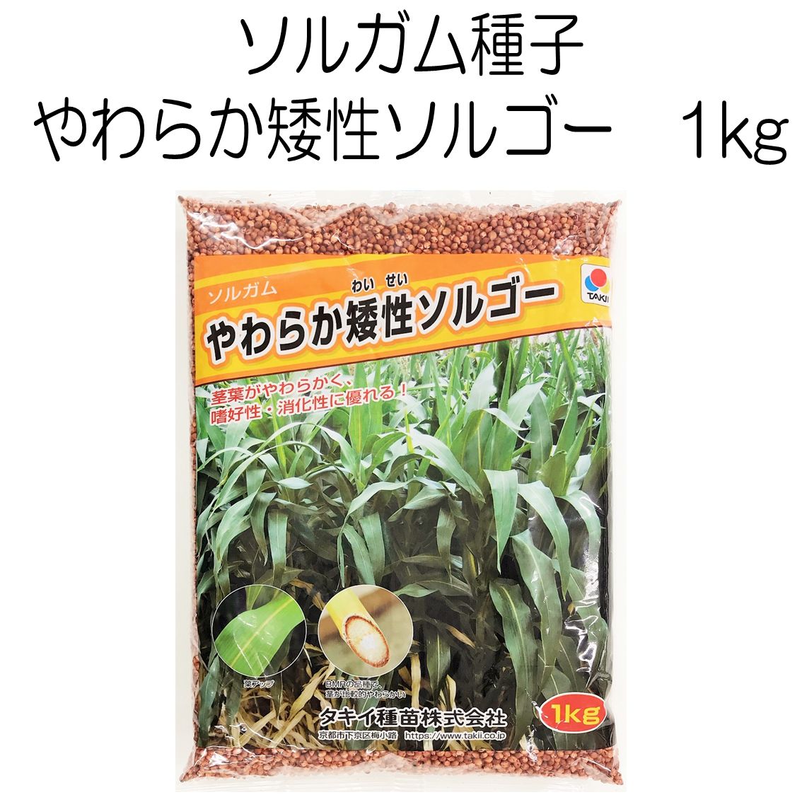 ソルガム種子 やわらか矮性ソルゴー 1kg タキイ種苗【種】緑肥の種 夏に強い緑肥 メルカリ