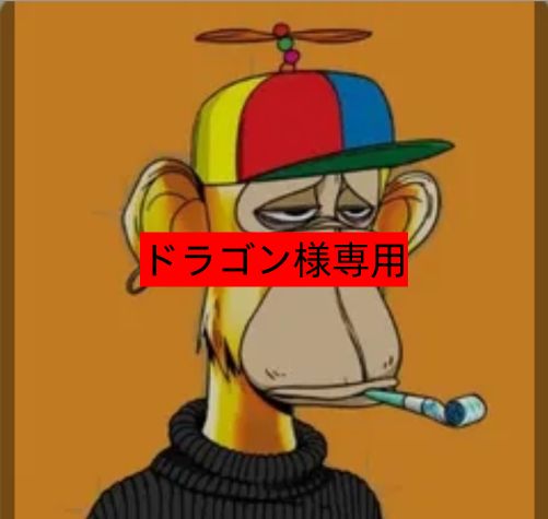 ドラゴン様専用 - メルカリ