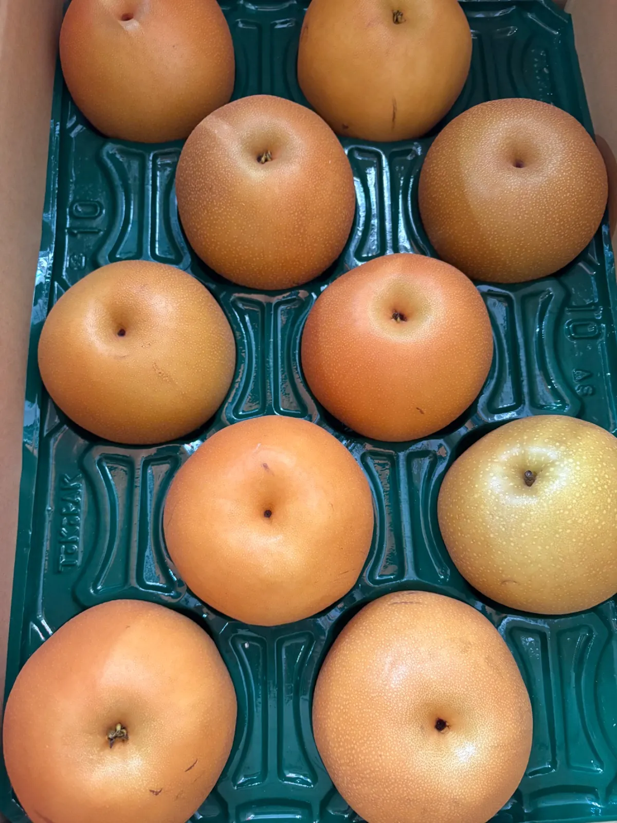 当日発送可］呉羽梨 新興 10kg 減農薬有機栽培 規格外 295