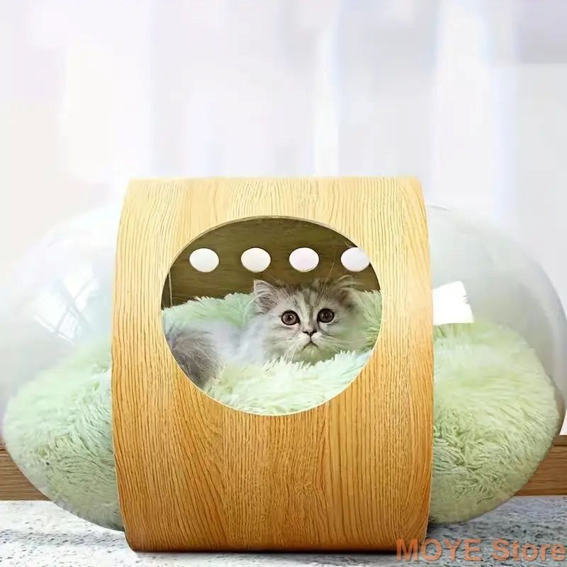 春