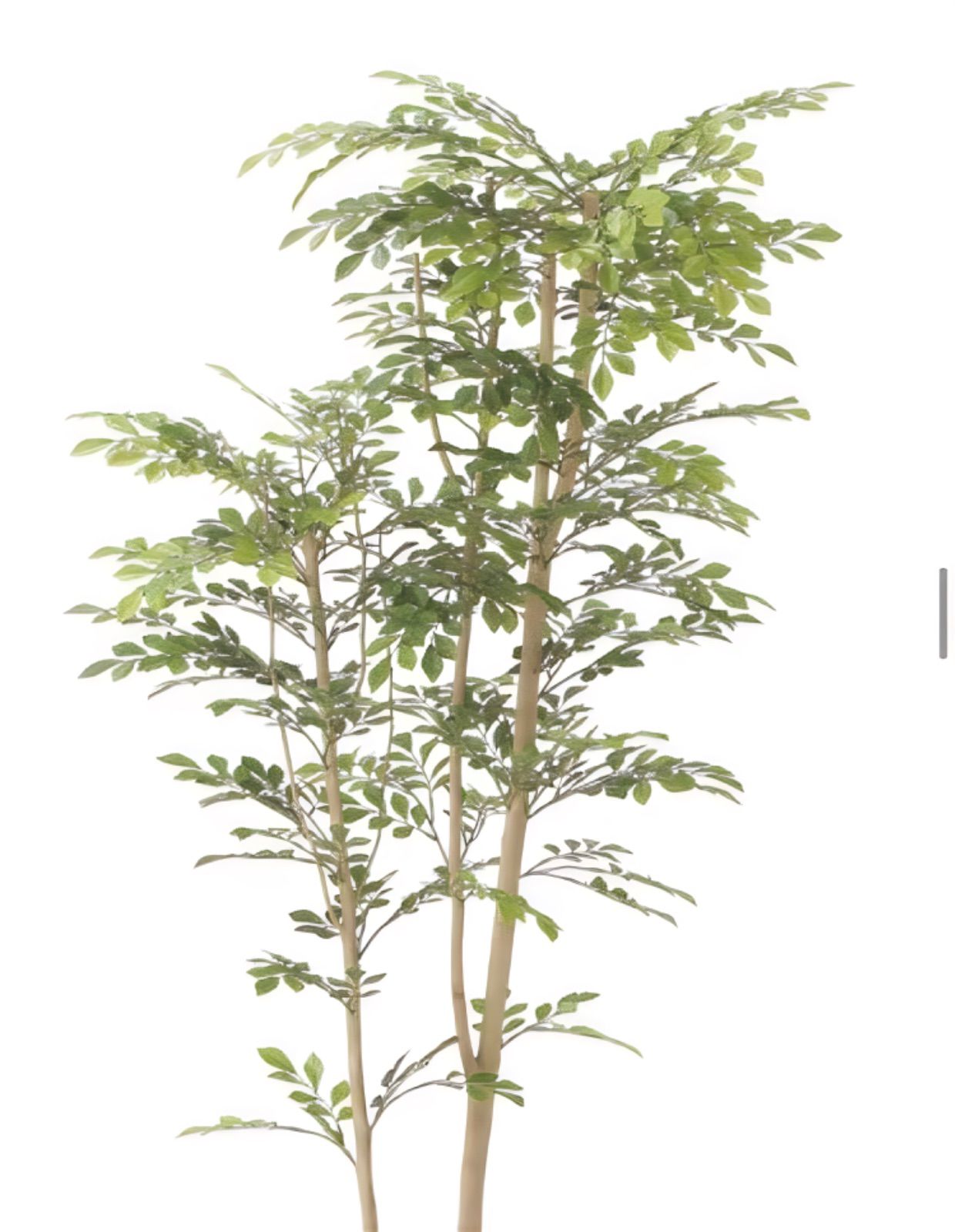 光触媒 人工観葉植物 ウォールグリーン フェイクグリーン