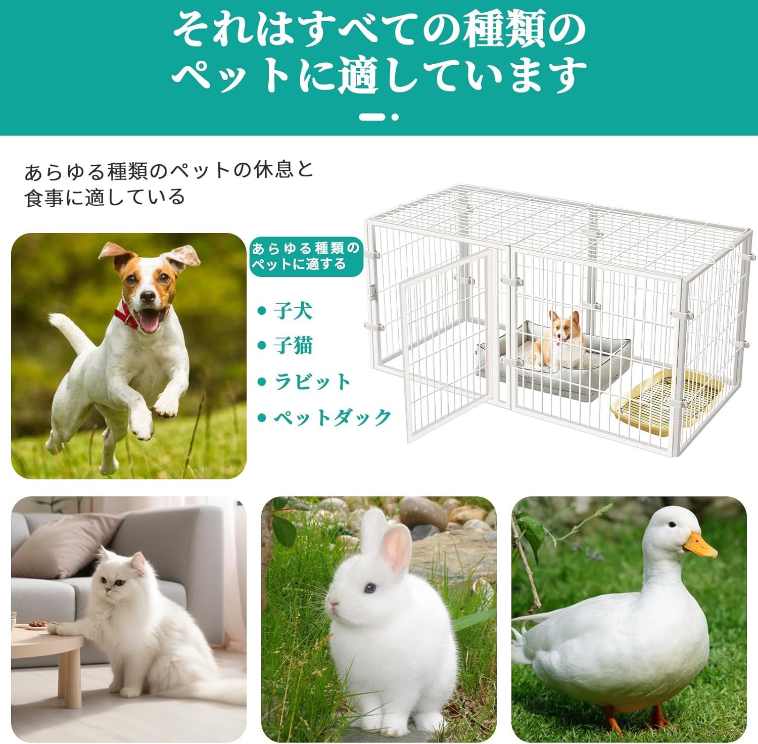 2つのドア
