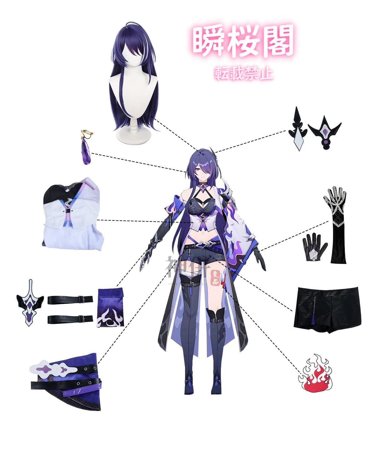 アグラオネマ　ピクタム　(MB-ANDROMEDA) 正規タグ付き　親株 アグラオネマ ピクタム (MB-ANDROMEDA) 正規タグ付き 親株 2025