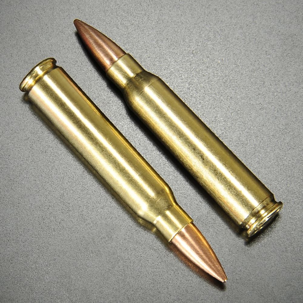 RIGHT リアルダミーカート 5.56×45mm NATO弾 20発セット プラケース付き - メルカリ