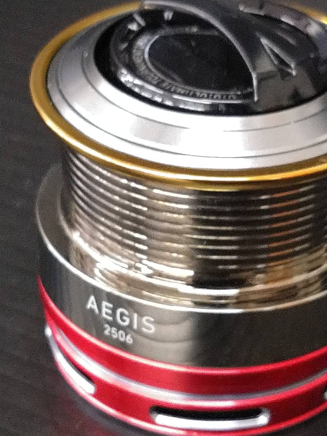 バス アオリイカ