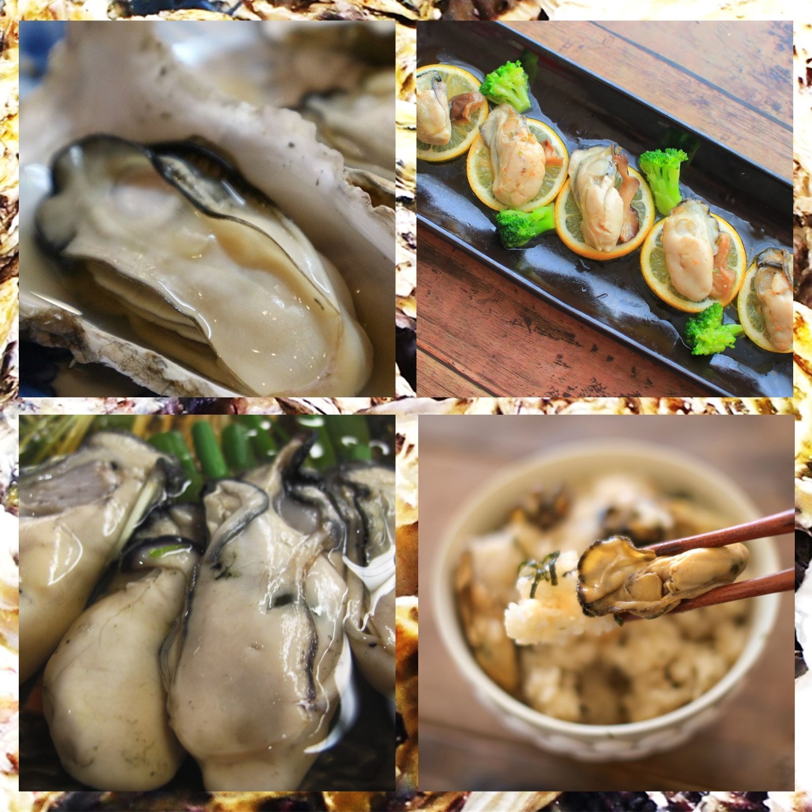 三陸産 ホタテ＆牡蠣セット 殻付きホタテ5枚 殻付き牡蠣1kg 三陸の肉厚ホタテと身入りの良い牡蠣 BBQにも最適！冷凍で旨味を閉じ込め日持ちも抜群！
