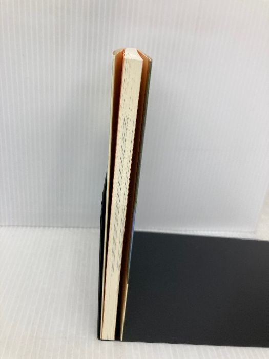 如来のはたらきと報恩のこころ 自照社出版 利井 唯明