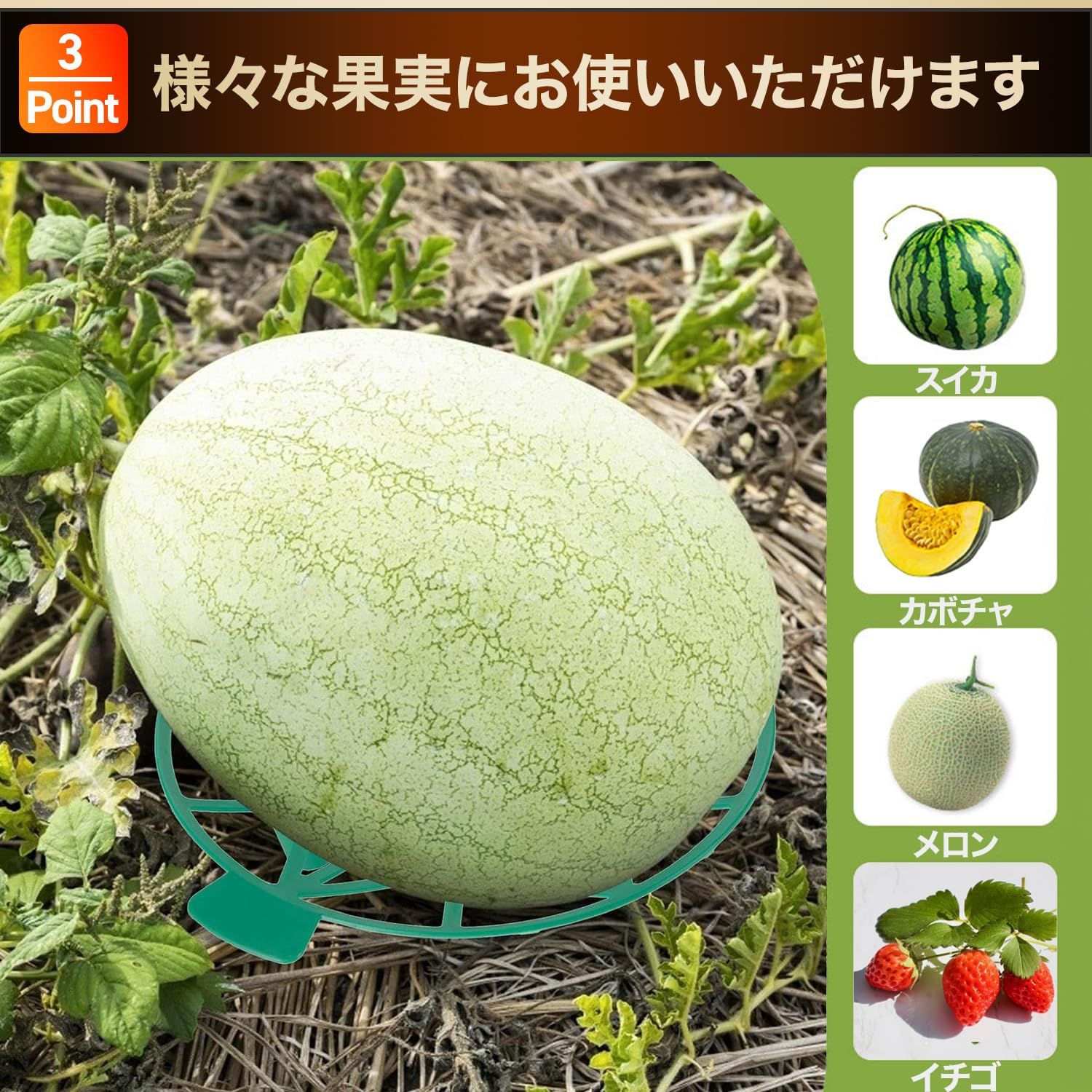 虫害