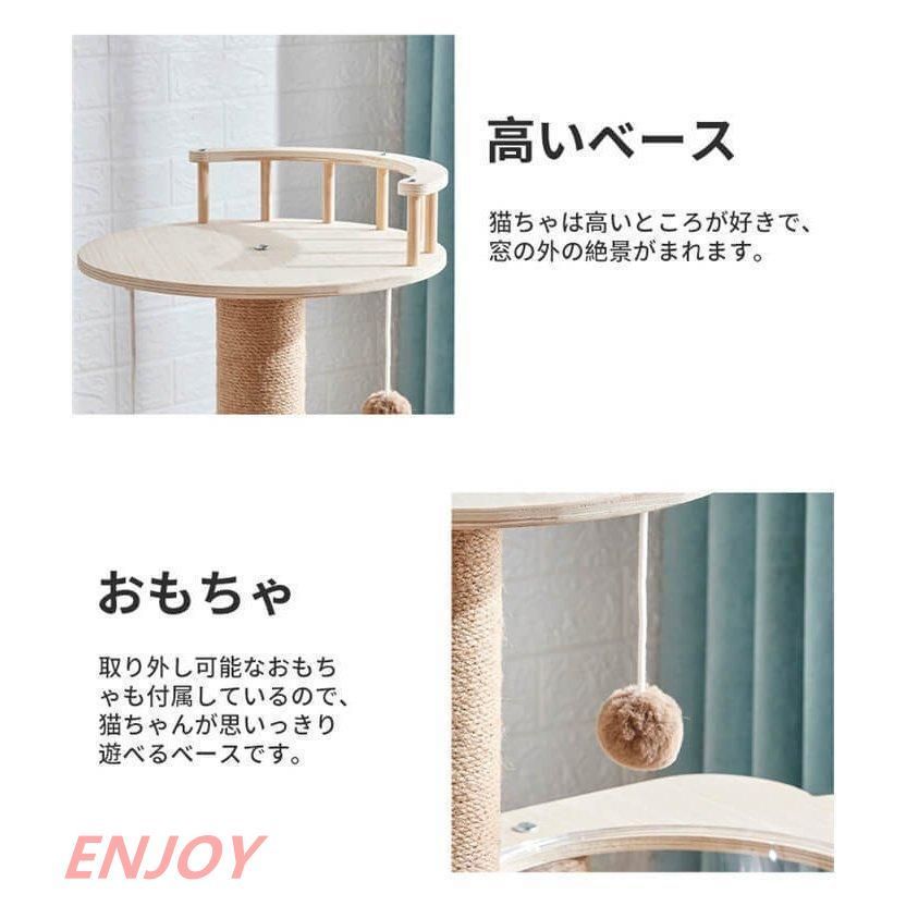 猫の遊び場 リラックス空間
