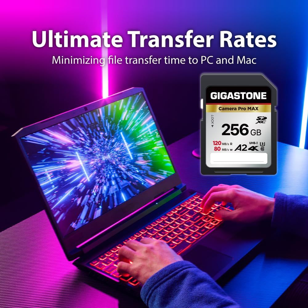 Gigastone SDカード 256GB 2枚セット Camera Pro MAX A2 4K U3 Class 10 SDXC 高速 4K UHD - Full HD ビデオ Canon Nikon Sony Pentax Kodak Olym VETTDRUCK_DE