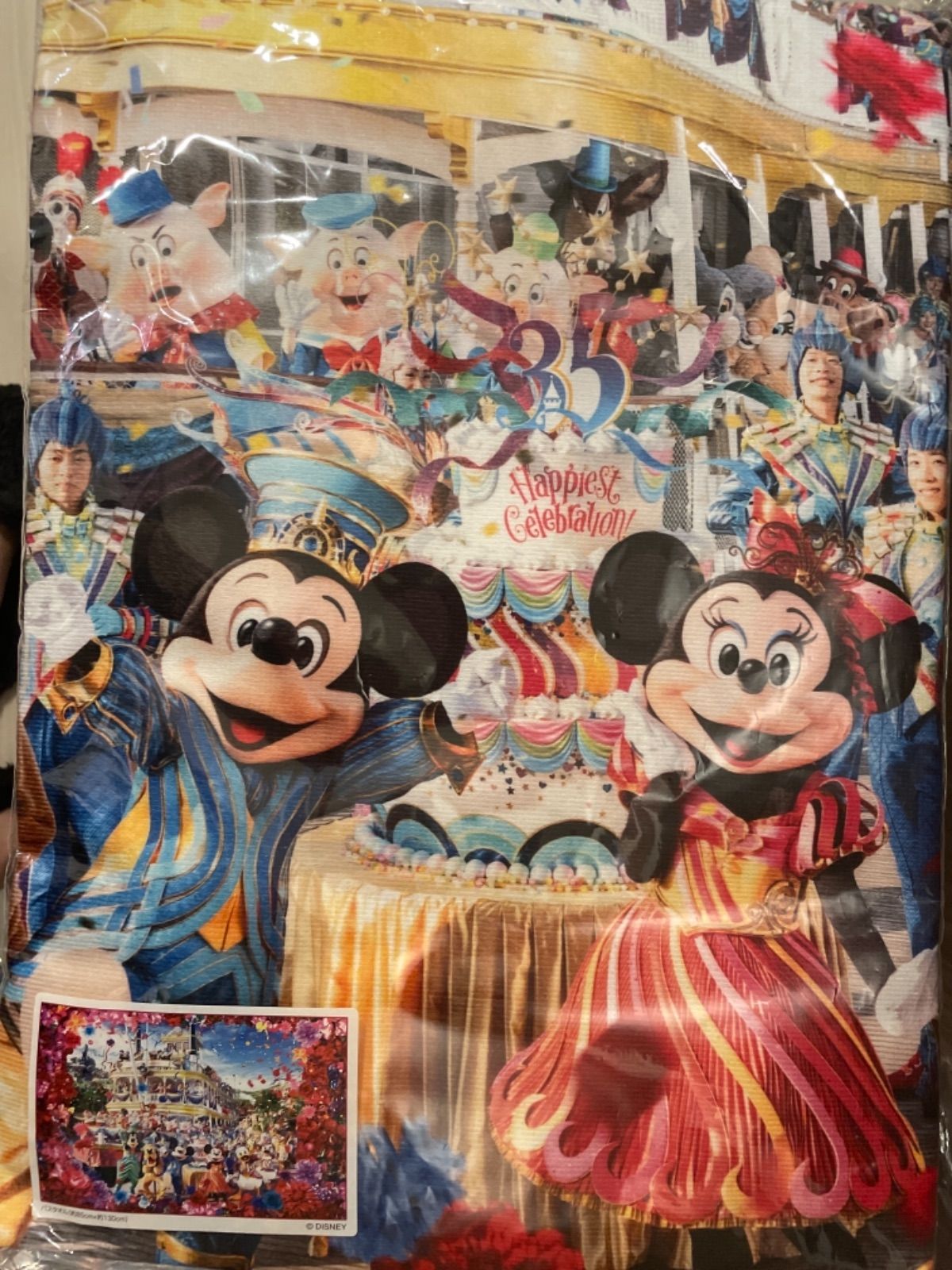 ディズニー ミッキーマウス 実写 特大タオル ミッキーたちの実写ペアデザイン☆東京ディズニーランド ロング