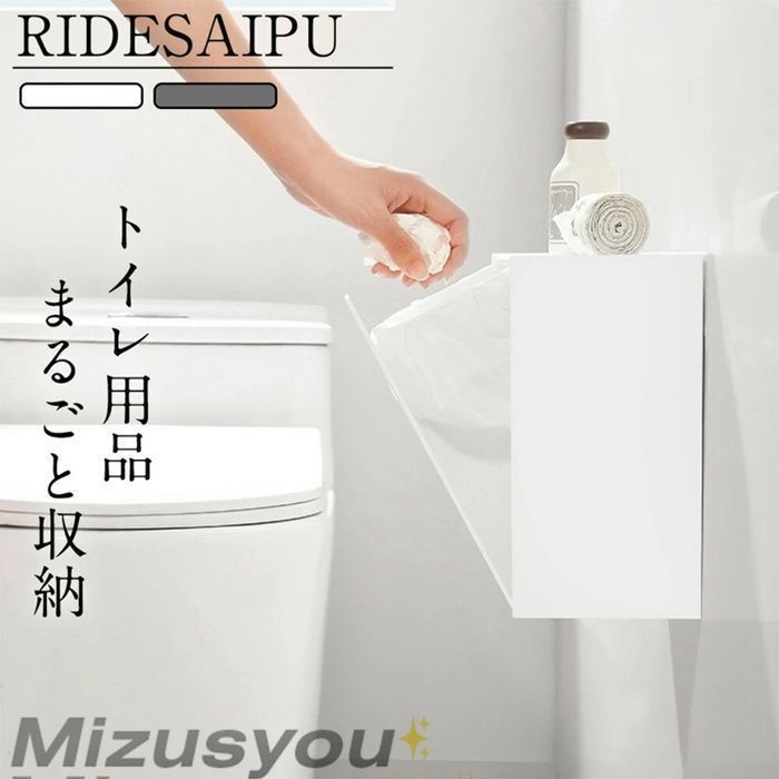 分別サニタリー収納ホルダー トイレ収納 うボードピン トイレポット ゴミ箱 収納 ダストボックス 収納 壁面 壁掛け 壁