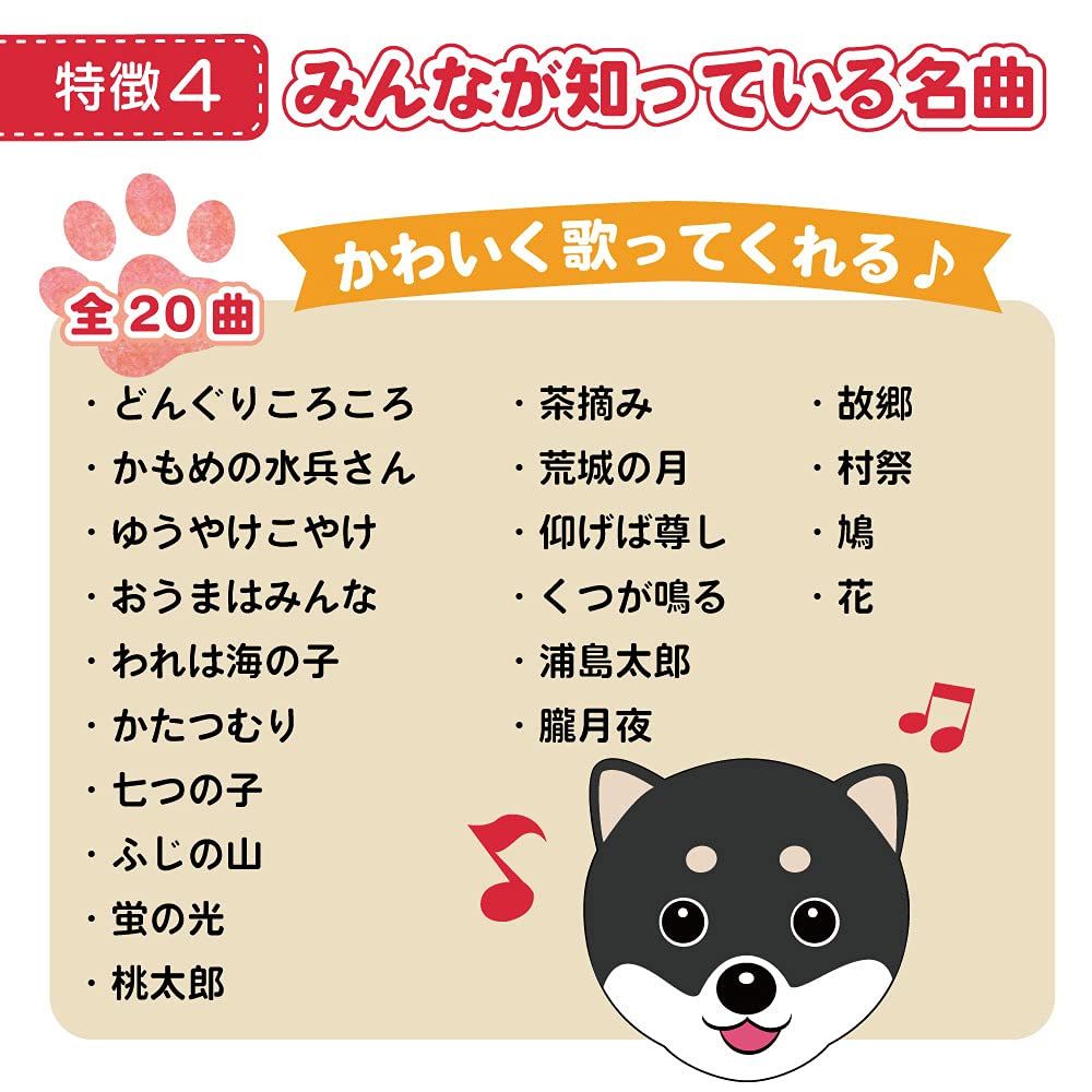 黒柴