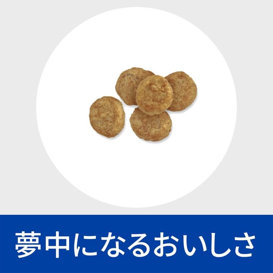 プリスクリプションダイエット ドッグフード