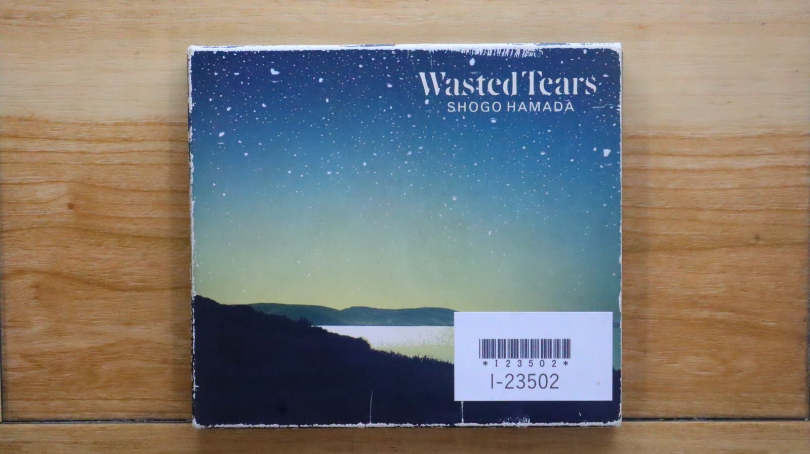 国内盤CD☆浜田 省吾/Shogo Hamada□ WASTED TEARS 【32DH5269