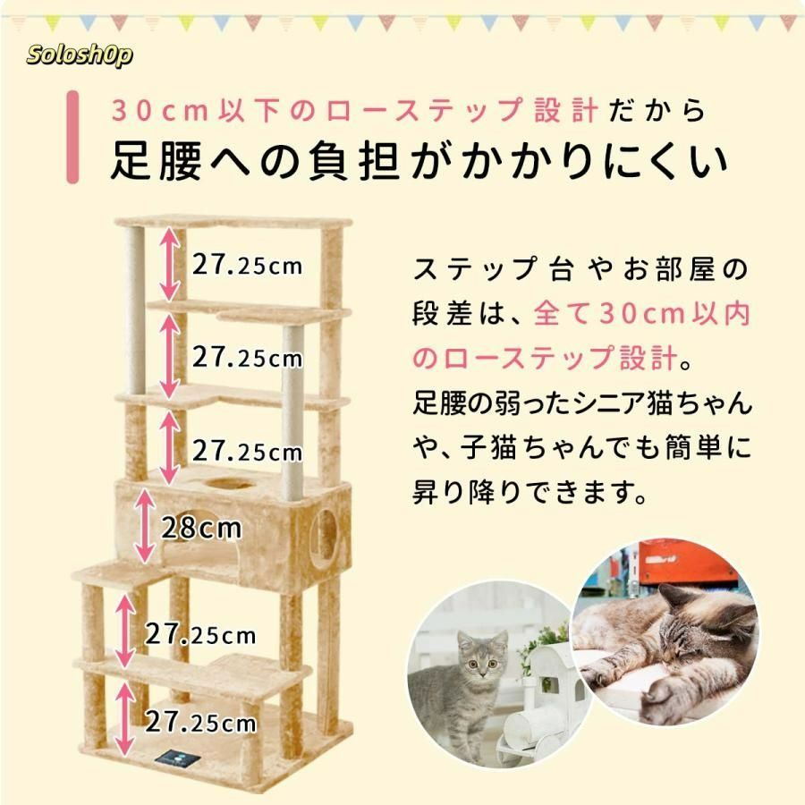 おしゃれ