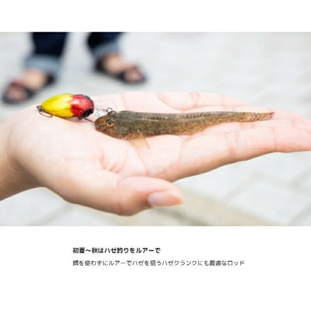 ジャッカル エッグキャスト ソフティ120 イロハモミジ | 釣具 釣り