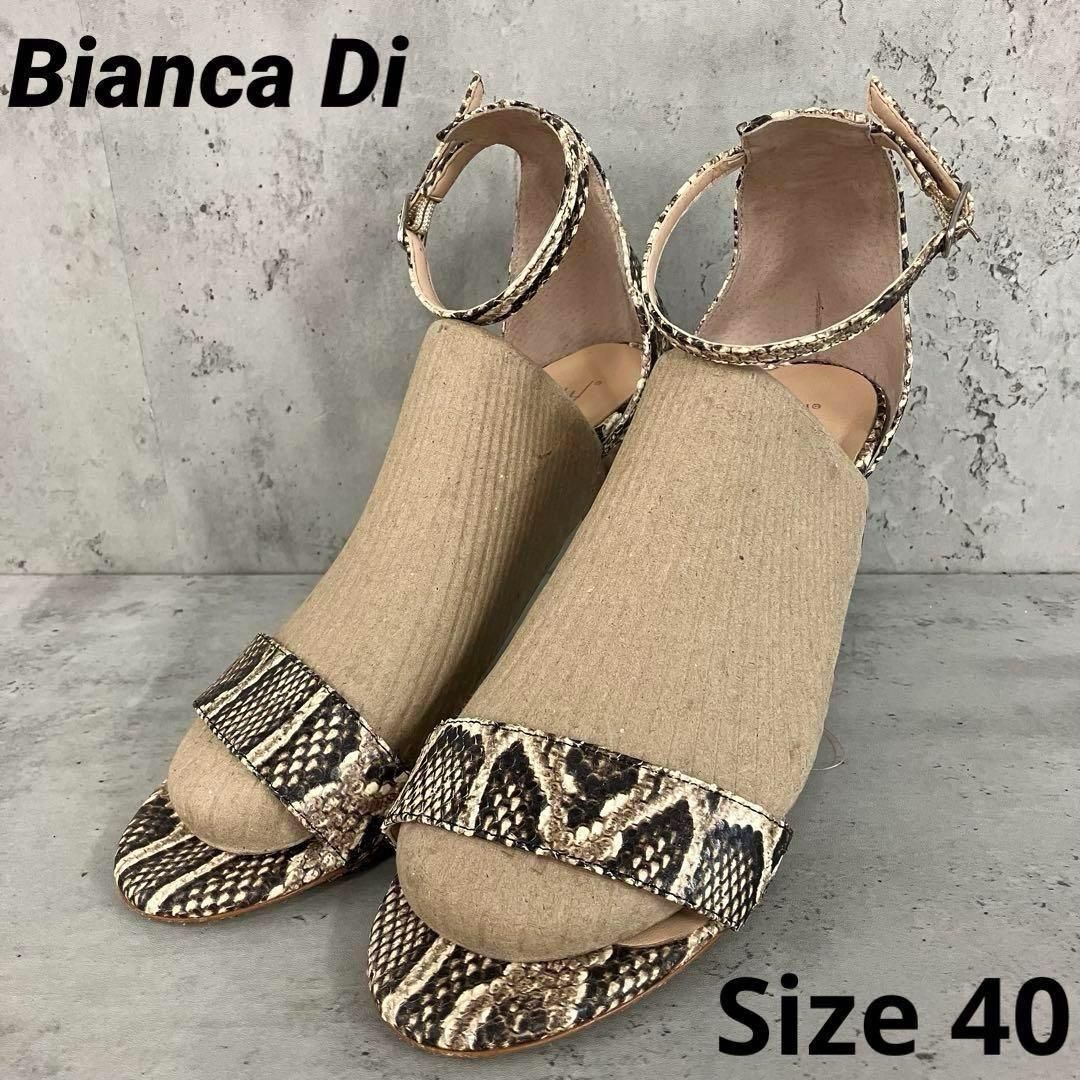 Di ビアンカディ