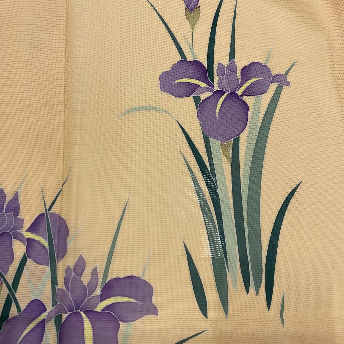 菖蒲