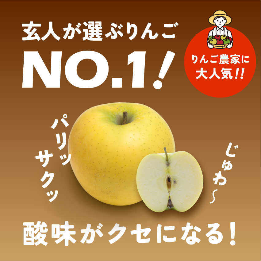 発送中「シナノゴールド3キロ箱A品B品ミックス」 農林水産大臣賞 りんご 長野県産 安曇野 信州産 産地直送