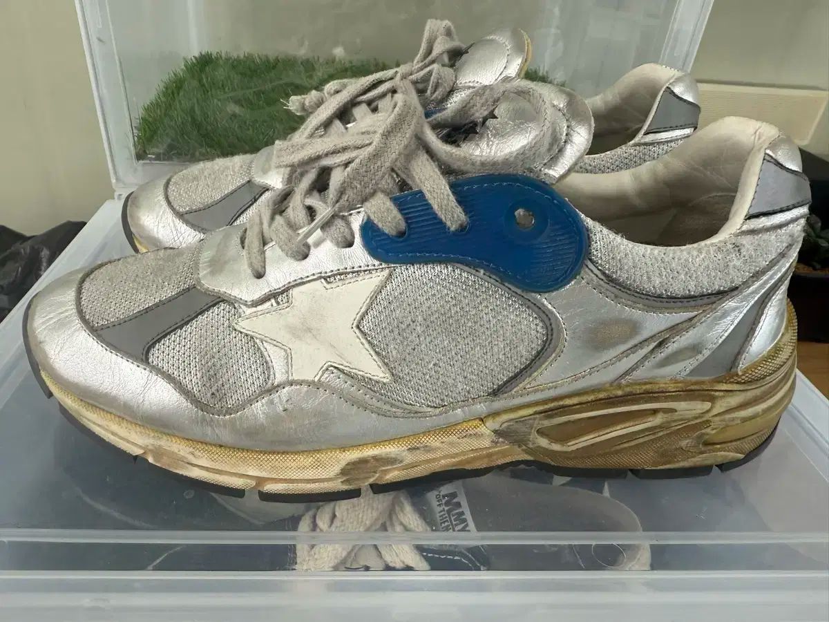 GOLDEN GOOSE ゴールデングース ダッド スター 42
