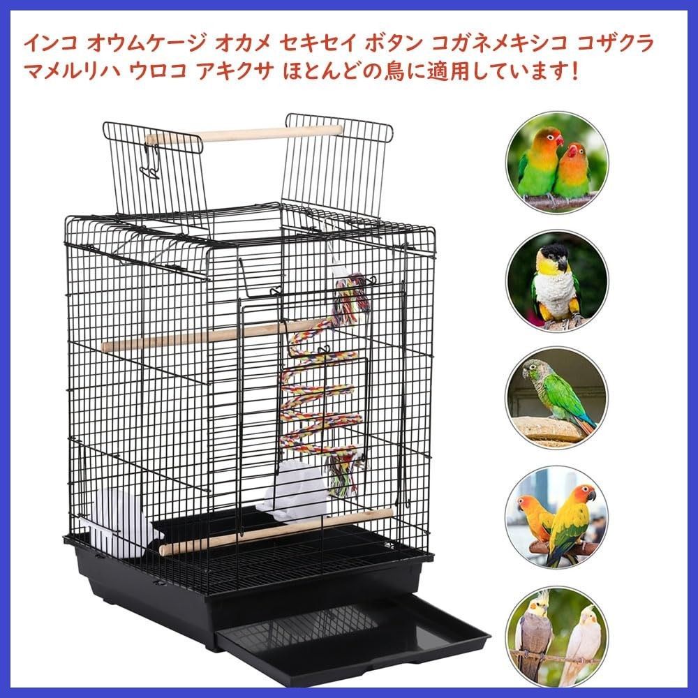 コガネメキシコ コザクラ