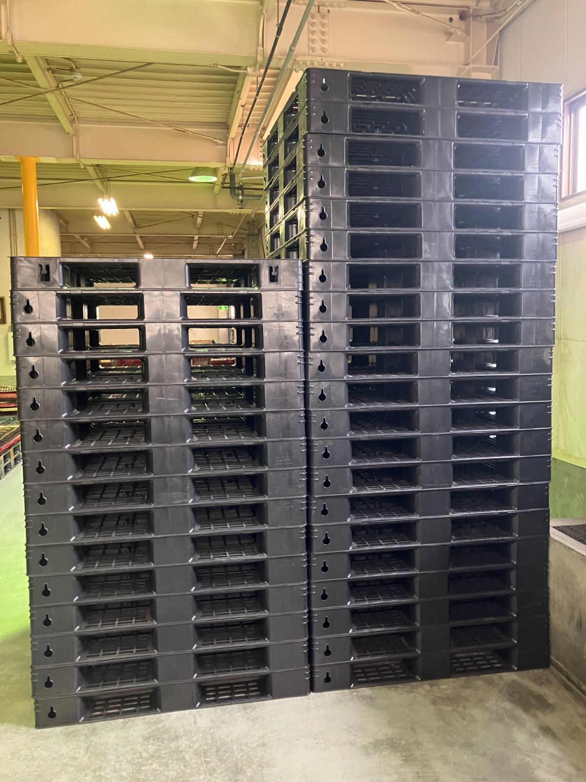 15枚セット サンコー 軽量パレット 1100×1100×120mm 5.8kg 静荷重2000㎏ 動荷重1000㎏ D4-1111-17 812332 片面4方差 ハンドリフト対応