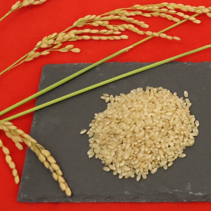 種類5 5 30kg 兵庫県但馬産コシヒカリ 減農薬 玄米30kg ma-kou30g コウノトリ育むお米