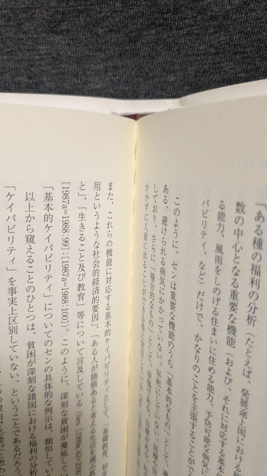 ポスト・ロールズの正義論：ポッゲ・セン・ヌスバウム (神島裕子