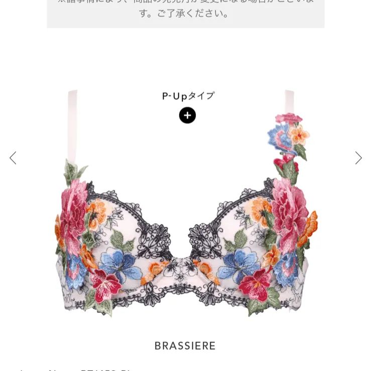 ワコール サルート 59（Salute（サルート）｜ 80グループ ｜ セクシー  