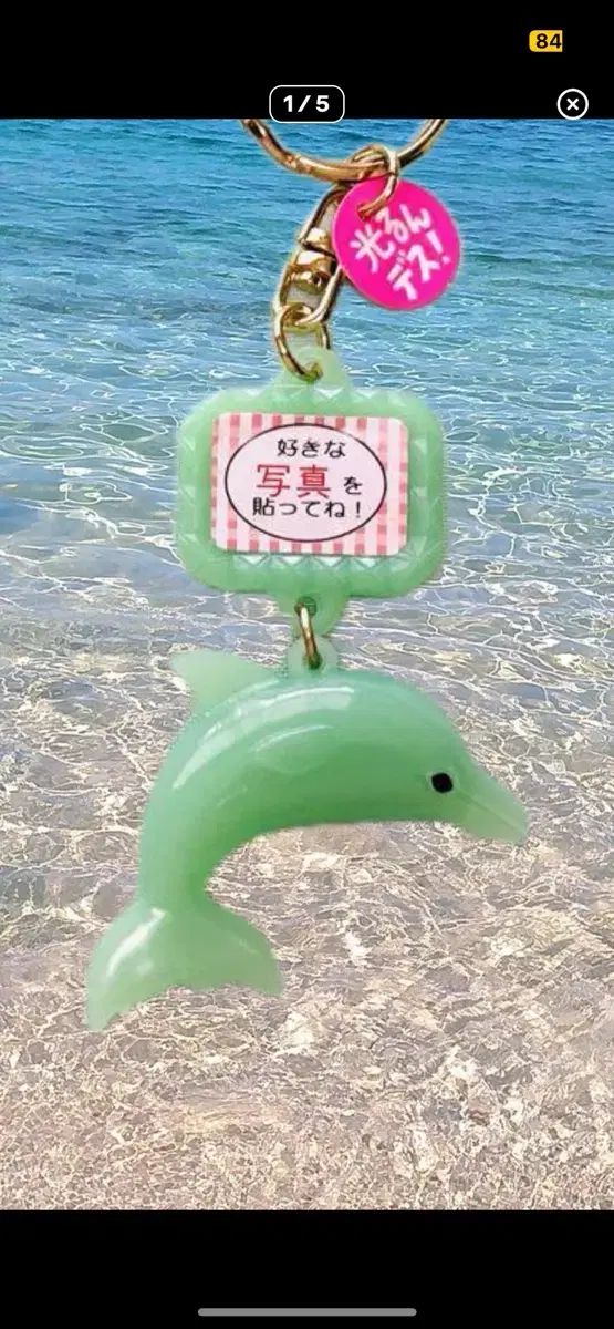 【雷市場（ポンジャン）商品韓国直送】 ネズミイルカ キーリング ー グリーナリー