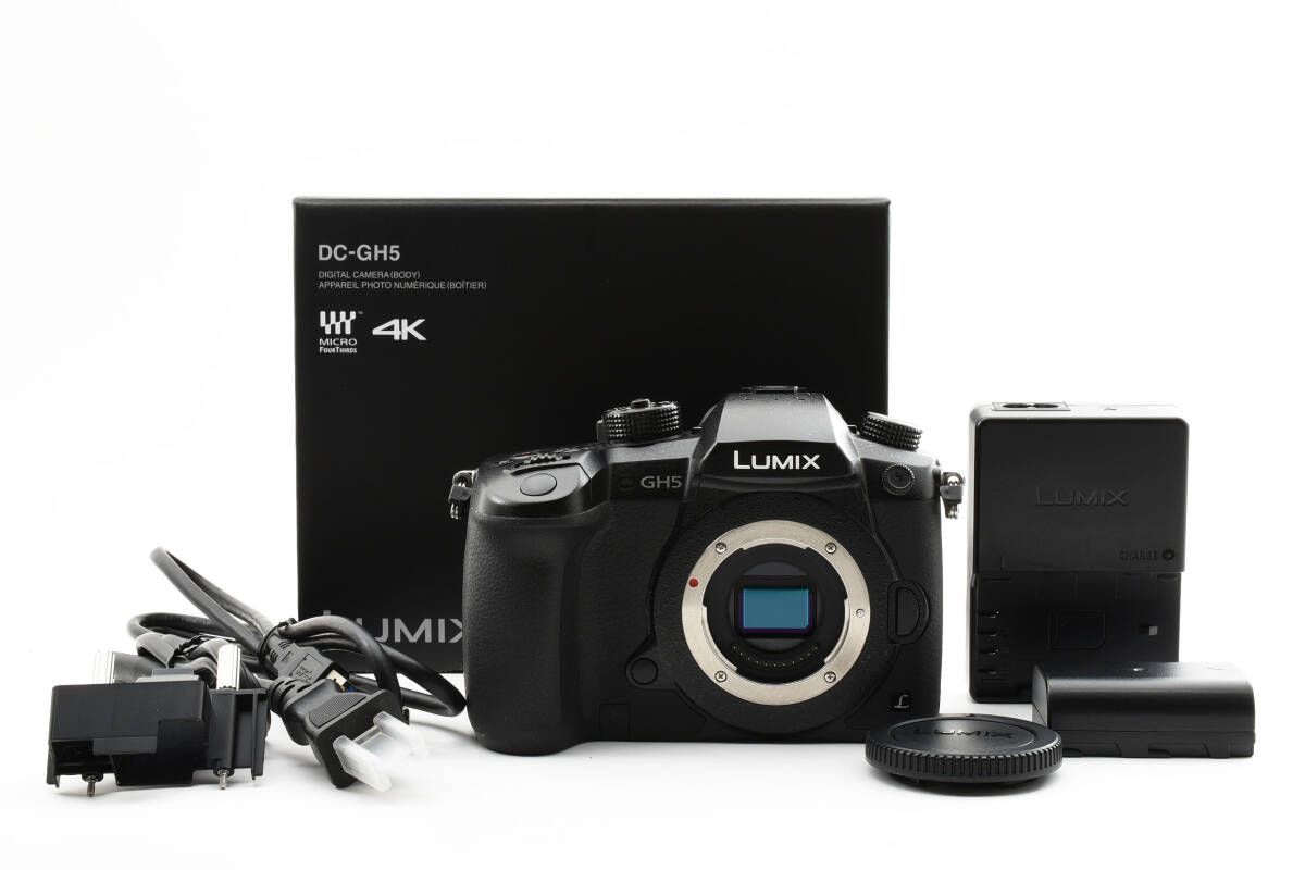 GH5 Panasonic LUMIX ボディ ミラーレス一眼カメラ パナソニック